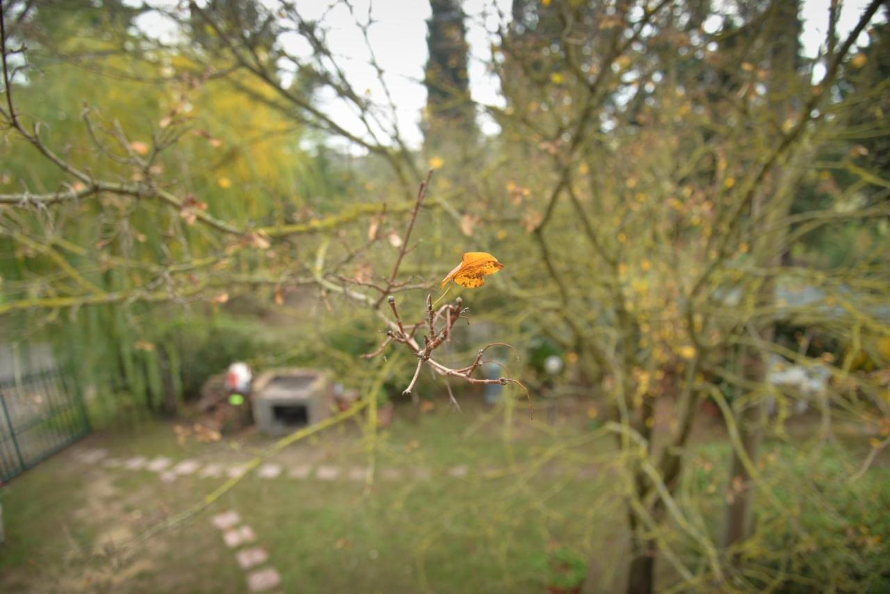 Agriturismo La Pineta Piana Εξωτερικό φωτογραφία